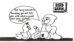 Mealworm Comic