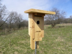 Bluebird Nest Box