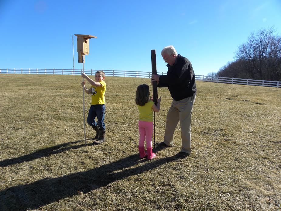 Putting up a bluebird house along the McDaniel trail.