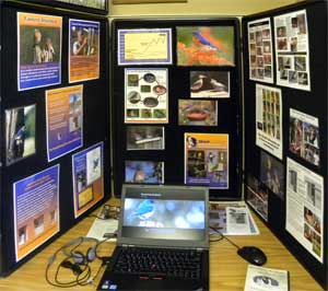 Nature Center Display Nature Center Display