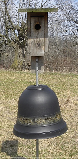 Predator Guard